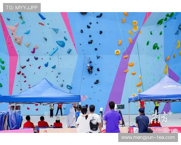 深圳攀岩队在全国攀岩比赛经验排行榜中荣获第七名的佳绩分析