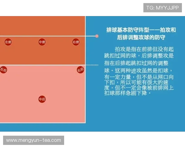 深圳排球队区域防守策略分析与实战应用深度探讨