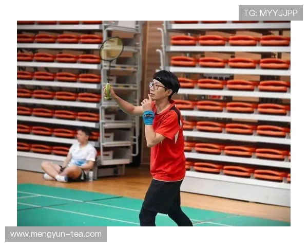 深圳羽毛球队荣登全国团队协作排行榜第一名展现卓越实力与团结精神 深圳羽毛球队荣登全国团队协作排行榜第一名展现卓越实力与团结精神