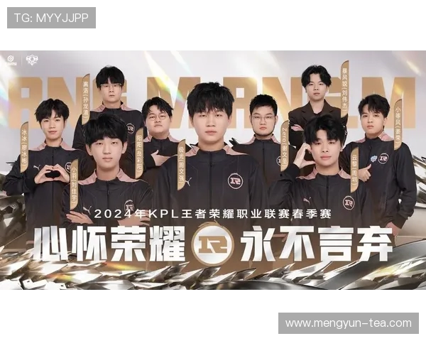 王者荣耀团队协作排行榜揭晓RNG荣登第八名引发玩家热议 王者荣耀团队协作排行榜揭晓RNG荣登第八名引发玩家热议