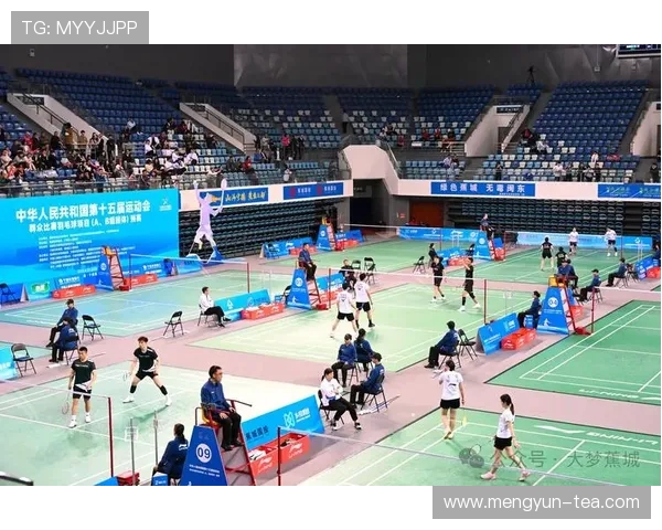 羽毛球的魅力：深入解析南京羽毛球队的默契配合与战术策略