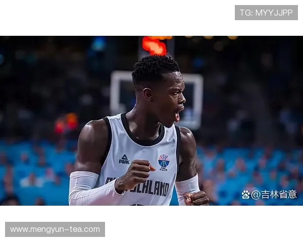 丹尼斯施罗德在NBA赛季中的表现与未来发展潜力分析