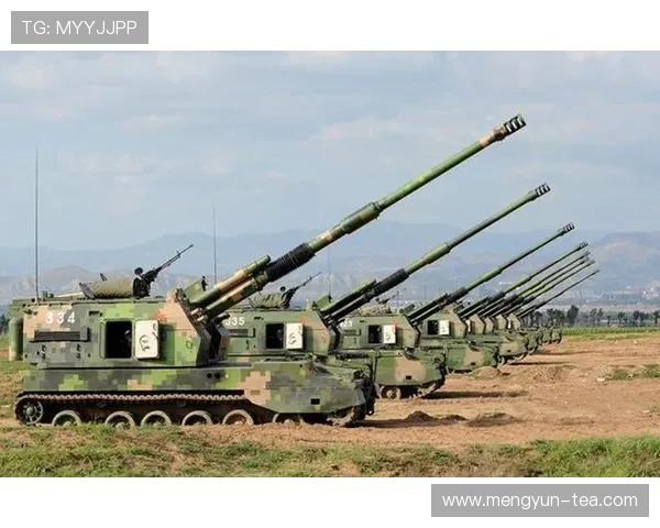 伏尔加格勒旋翼对决解析：战术运用与技术优势的全面比较