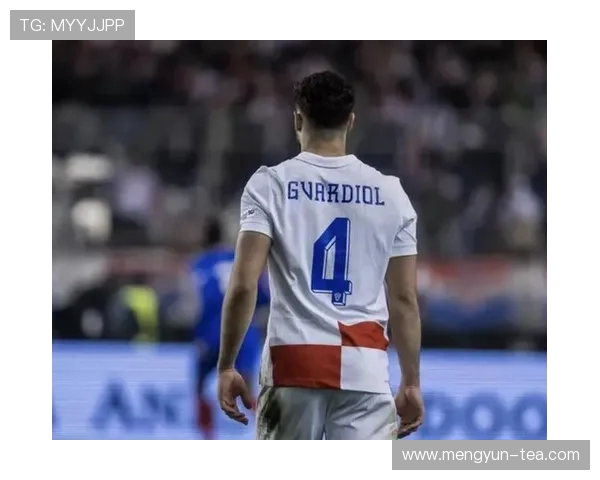 格瓦迪奥尔：从新星到巨星的蜕变之路与未来展望