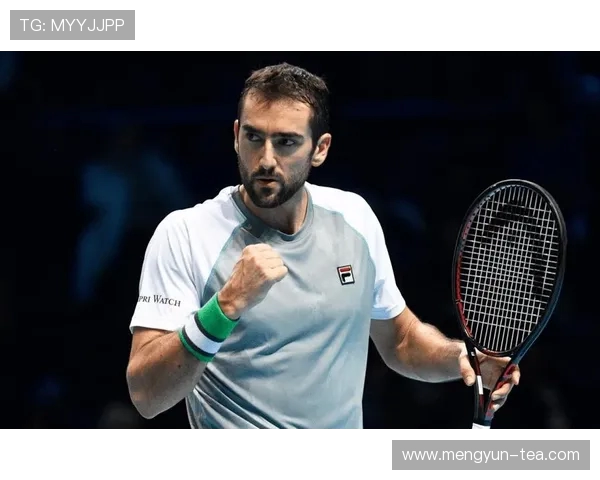 瓦林卡与西里奇在法网激战回顾经典对决再现网球巅峰对决魅力 瓦林卡与西里奇在法网激战回顾经典对决再现网球巅峰对决魅力