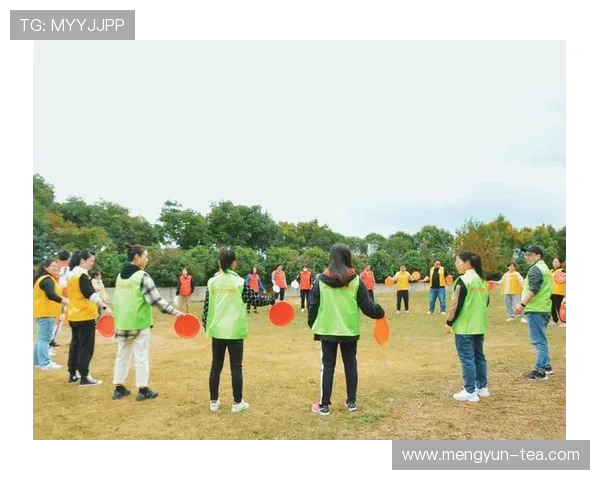 飞盘竞技的魅力与挑战：深入解析重庆飞盘队的战术与团队协作