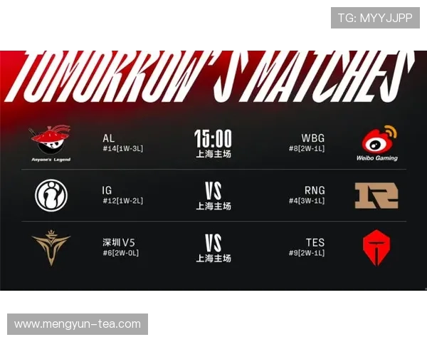 CSGO热点分析：深入探讨RNG战队的运营策略与战术布局