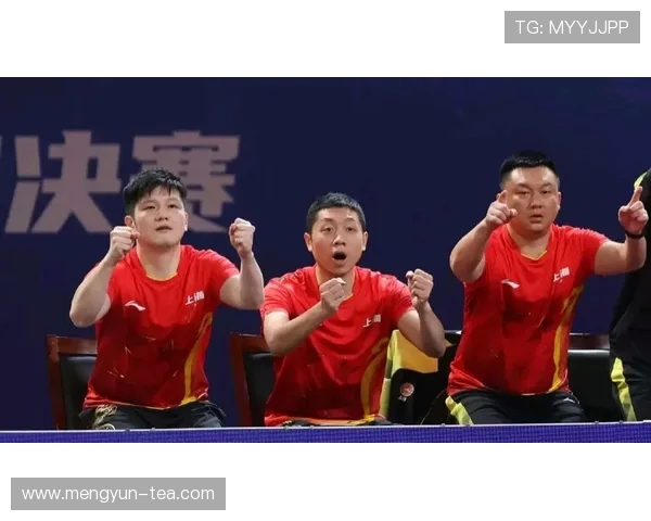 全国锦标赛回顾：上海乒乓球队的比赛经验与表现分析