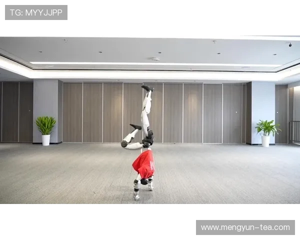 北京极限运动队领跑最新极限运动TOP10展现激情与挑战的完美结合 北京极限运动队领跑最新极限运动TOP10展现激情与挑战的完美结合