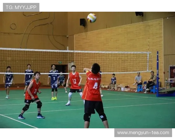 南京排球队实力强劲荣登全国第九名展现出色竞技水平与团队合作精神 南京排球队实力强劲荣登全国第九名展现出色竞技水平与团队合作精神