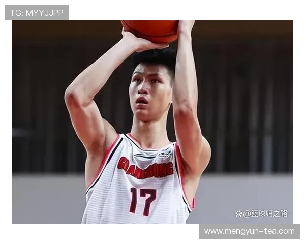 广州篮球队近期状态分析及表现评估探讨