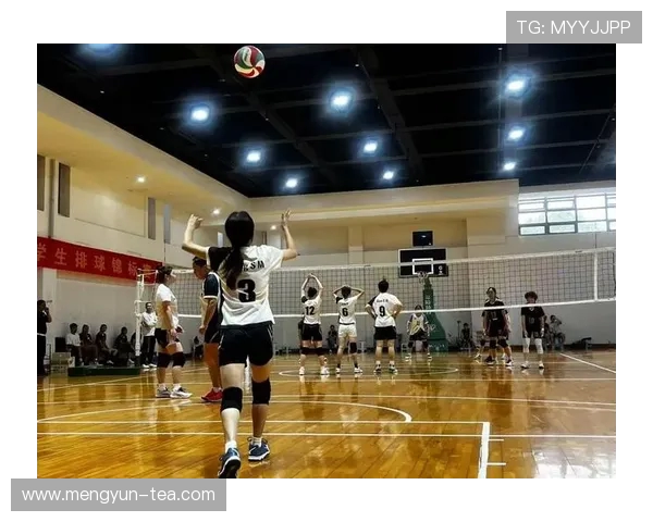 排球精神之旅：深入重庆排球队的心理素质与团队协作探讨