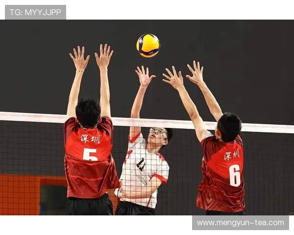 杭州排球队包夹战术深度解析与排球技巧的全面探讨