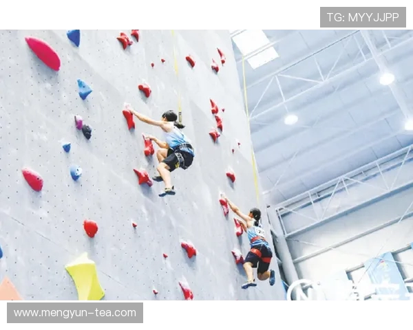 杭州攀岩队在极限运动会中的力量表现与技术分析