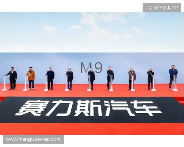 深圳与重庆极限运动队赛后技术分析与战术对比探讨