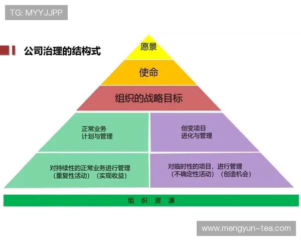 深圳攀岩队的战术体系与控制方法探讨与实践分析
